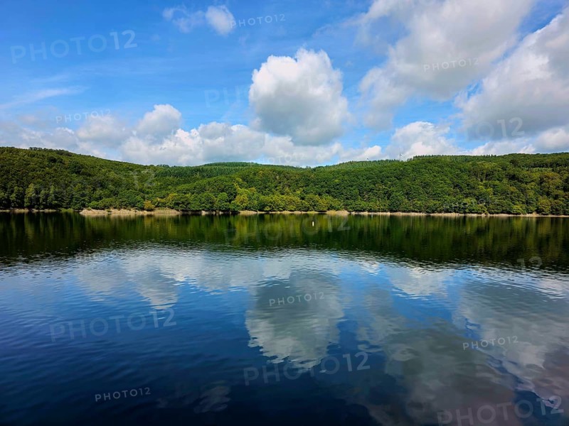 Clear blue sky with white clouds reflected in the still water of a lake and wooded shores, summer, Rursee, Rurtalsperre, Simmerath, Eifel National Park, North Rhine-Westphalia, Germany
