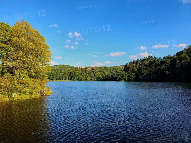 A calm lake with wooded shores and blue sky, summer, Rursee, Obersee, Simmerath, Eifel National Park, North Rhine-Westphalia, Germany