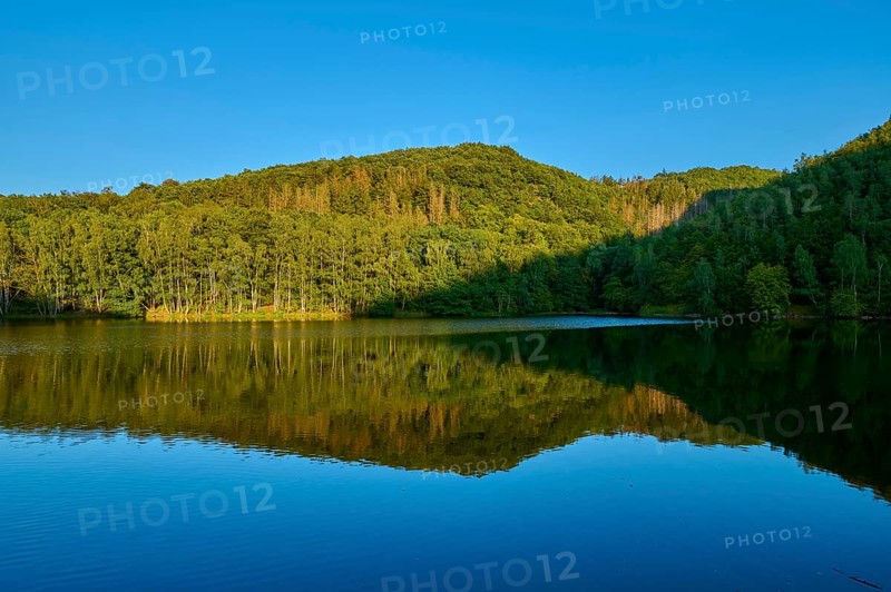 Forest reflection in a calm lake, surrounded by wooded hills, summer, Rursee, Obersee, Simmerath, Eifel National Park, North Rhine-Westphalia, Germany