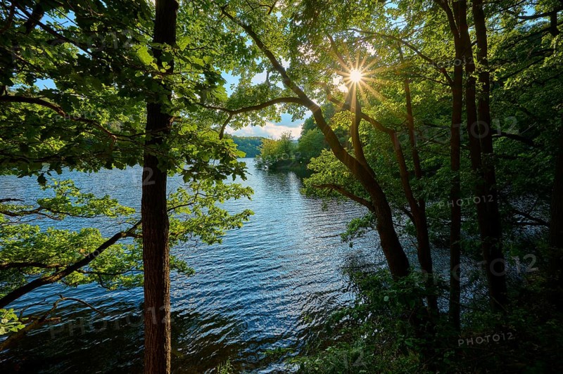 Sunlight shining through dense trees on a calm lake, summer, Rursee, Obersee, Simmerath, Eifel National Park, North Rhine-Westphalia, Germany
