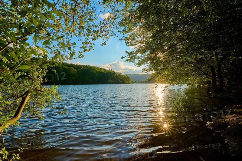 Water reflection in the lake, surrounded by trees in the sunlight, summer, Rursee, Obersee, Simmerath, Eifel National Park, North Rhine-Westphalia, Germany