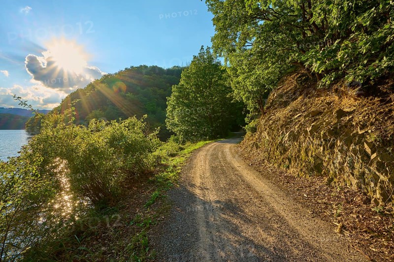 Sunlight shining through trees onto a forest path next to a rock face, summer, Rursee, Obersee, Simmerath, Eifel National Park, North Rhine-Westphalia, Germany