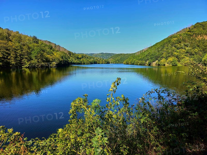 A quiet lake, surrounded by hills and forests under a blue sky, summer, Rursee, Obersee, Simmerath, Eifel National Park, North Rhine-Westphalia, Germany