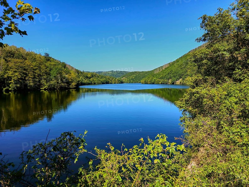 A peaceful lake with hills and dense vegetation on the shore, summer, Rursee, Obersee, Simmerath, Eifel National Park, North Rhine-Westphalia, Germany