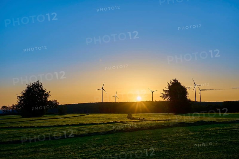 Sunrise, with windmills and trees on a green field, warm light, summer, Rohren, Monschau, Eifel, North Rhine-Westphalia, Germany