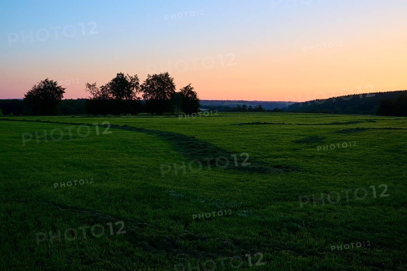 Green meadow at sunrise, with a colourful sky in the background, summer, Rohren, Monschau, Eifel, North Rhine-Westphalia, Germany