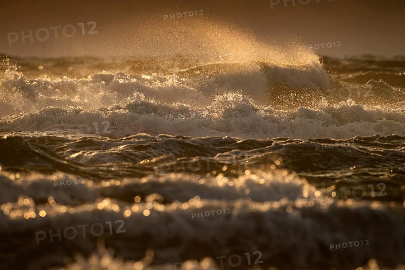 Rolling waves, surf, evening light, backlight, Hvide Sande, North Sea, Denmark