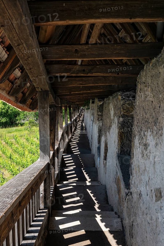 View down to the staircase with 340 steps to the Seilergang, historic defence wall of Esslingen Castle, Esslingen am Neckar, district of Esslingen, Baden-WÃ¼rttemberg, Germany