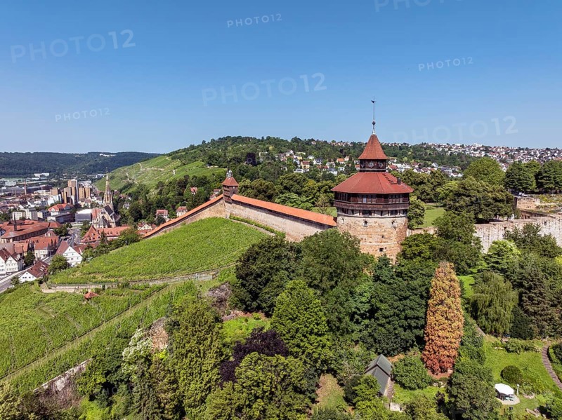 Aerial view of the city of Esslingen am Neckar with Esslingen Castle, Dicker Turm, Seilergang and vineyard, district of Esslingen, Baden-WÃ¼rttemberg, Germany