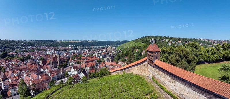 Aerial view, panorama of the old town of Esslingen am Neckar with Esslingen Castle, Dicker Turm, Seilergang and vineyard, district of Esslingen, Baden-WÃ¼rttemberg, Germany
