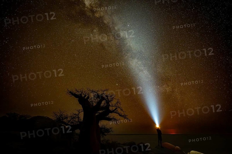 Young man shines torch into the sky, silhouette of a baobab tree with starry sky and Milky Way, red moonrise on the horizon, African baobab (Adansonia digitata), night shot, Kubu Island (Lekubu), Sowa Pan, Makgadikgadi salt pans, Botswana