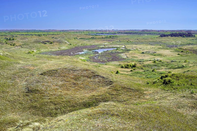 View from Bertusnol over dunes at De Nederlanden, part of nature reserve De Muy in the Nationaal Park Duinen van Texel, North Holland, Netherlands