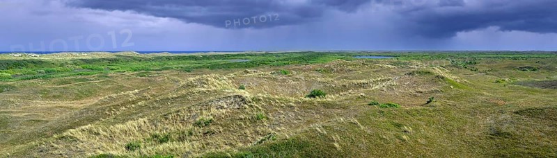 View from Bertusnol over dunes at De Nederlanden, part of nature reserve De Muy in the Nationaal Park Duinen van Texel, North Holland, Netherlands