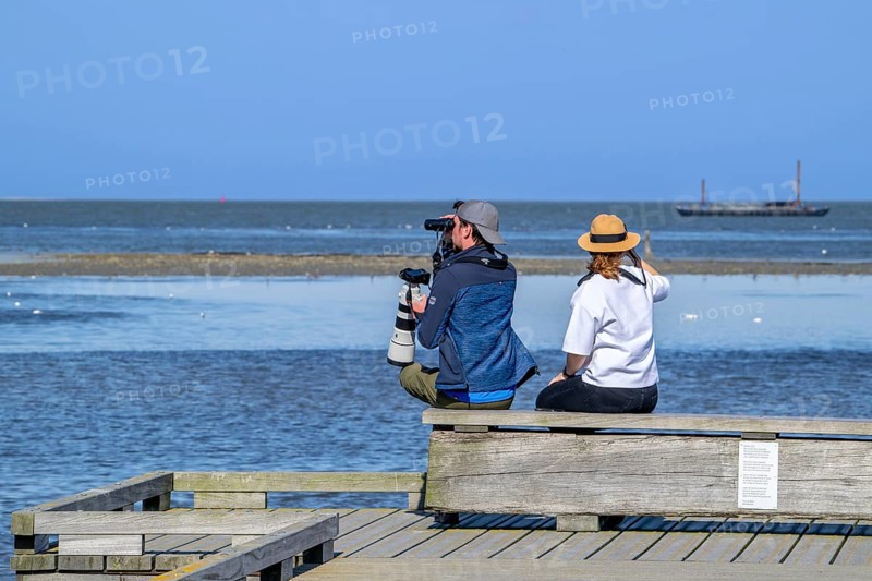 Couple of birdwatchers with binoculars, camera and telephoto lens watching birds at sea from wooden jetty on Texel island, North Holland, Netherlands