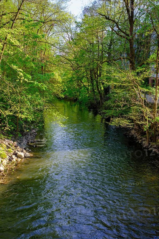 Itz in Coburg, Upper Franconia, Franconia, Bavaria, Germany