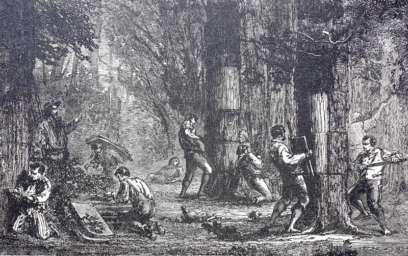 Extraction of cork bark from cork oaks, around 1860, Portugal, digitally enhanced reproduction of a 19th century model, historical, exact date unknown