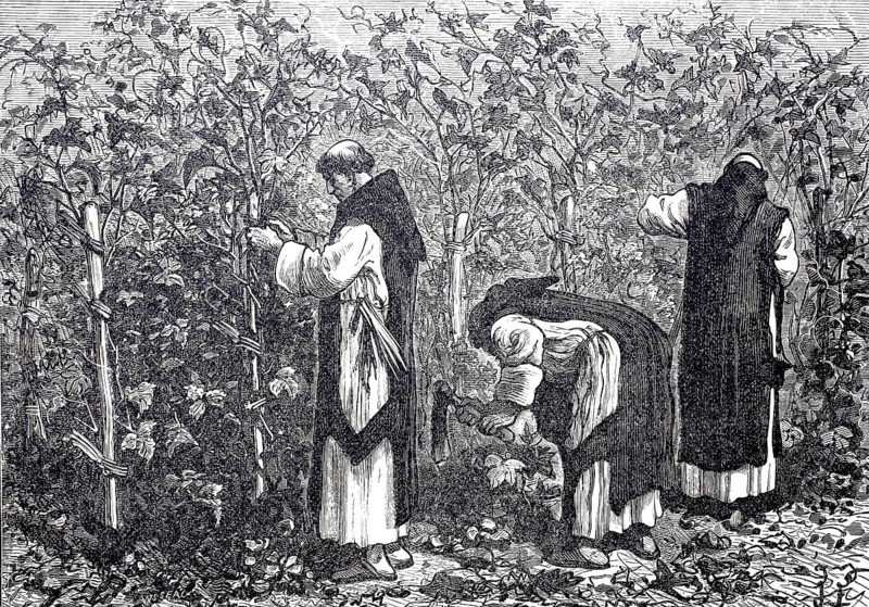 Monks at work in the vineyard, winegrowing, c. 1850, France, digitally enhanced reproduction of a 19th century model, historical, exact date unknown