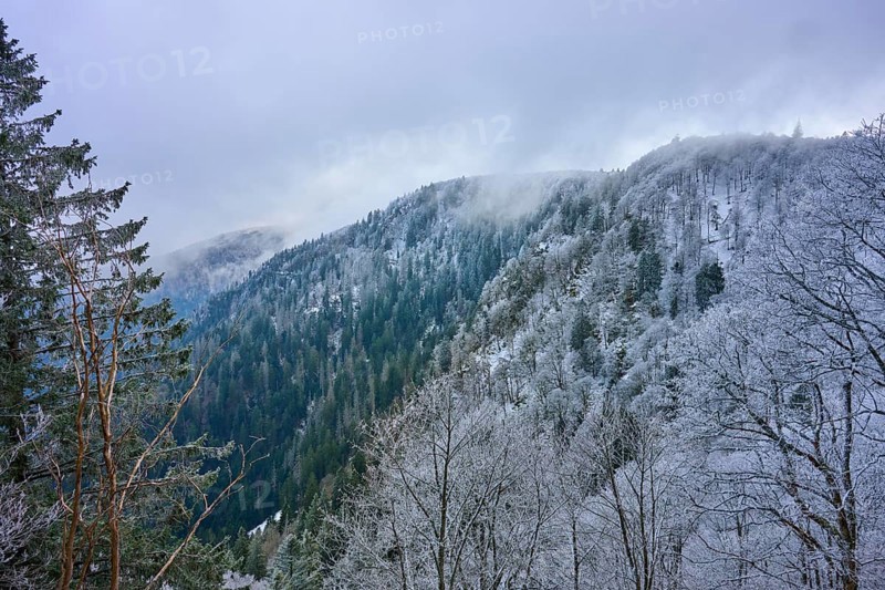 Mist-covered mountain range with frost-covered forest in winter, Col de la Schlucht, Le Valtin, Vosges, France