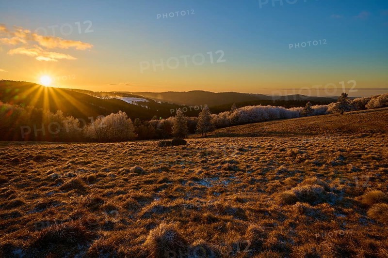 Golden sunlight gently bathes a frosty hilly landscape in warmth, winter, Route de Cretes, Hohneck, La Bresse, Vosges, France