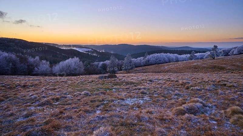 Snowy hills at dusk with soft lighting and peaceful atmosphere, winter, Route de Cretes, Hohneck, La Bresse, Vosges, France