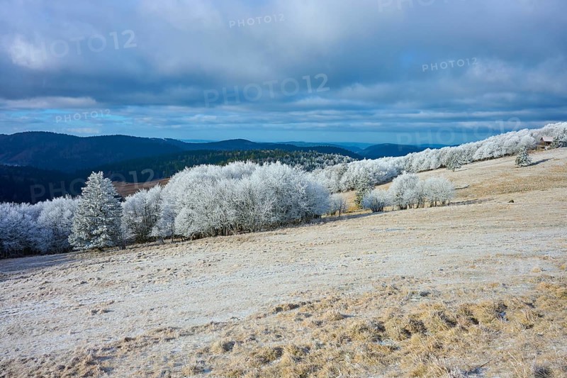 Snowy hills with trees and wide, cloudy sky in a wintry atmosphere, winter, Route de Cretes, Hohneck, La Bresse, Vosges, France