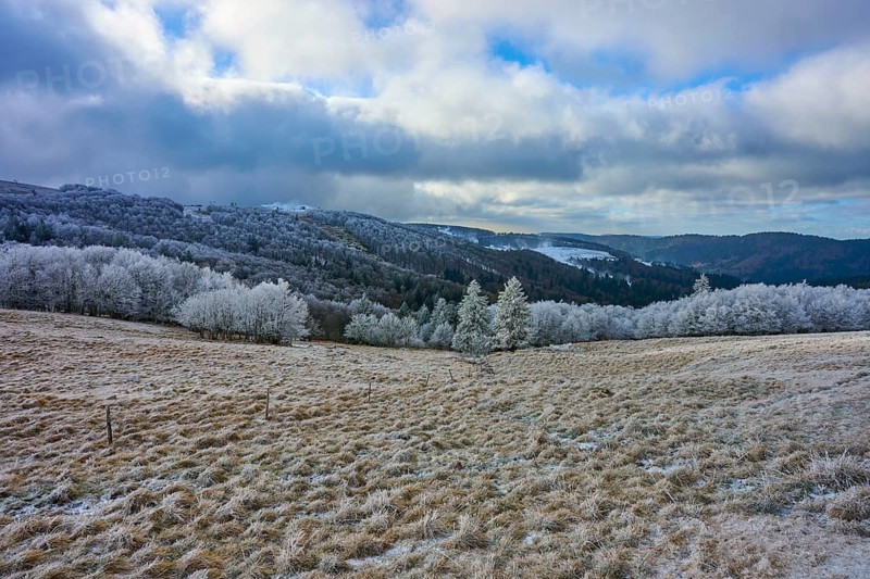 Snowy hills and trees under a cloudy winter sky, winter, Route de Cretes, Hohneck, La Bresse, Vosges, France