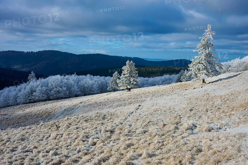 Winter landscape with snow-covered hills and trees under grey sky, winter, Route de Cretes, Hohneck, La Bresse, Vosges, France