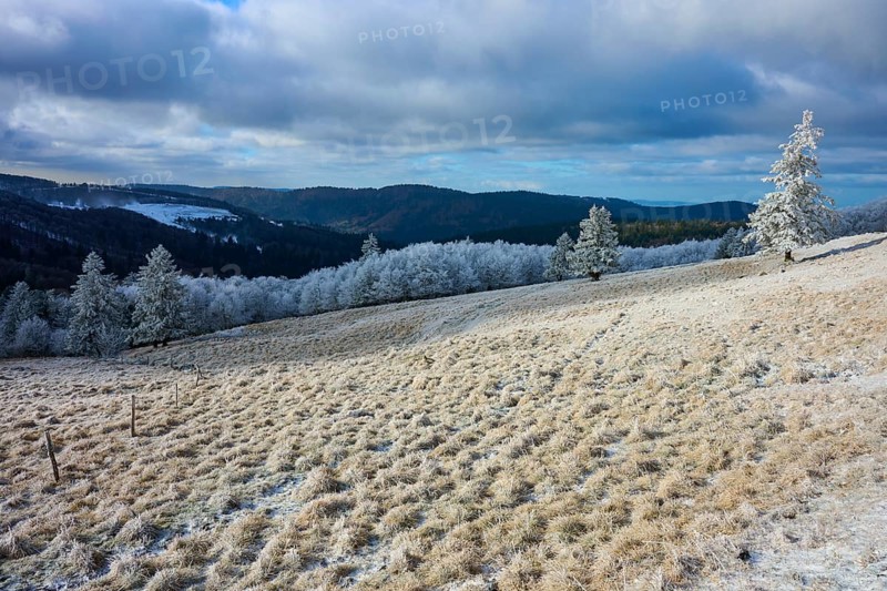 Winter hilly landscape with snow-covered trees and cloudy sky, winter, Route de Cretes, Hohneck, La Bresse, Vosges, France