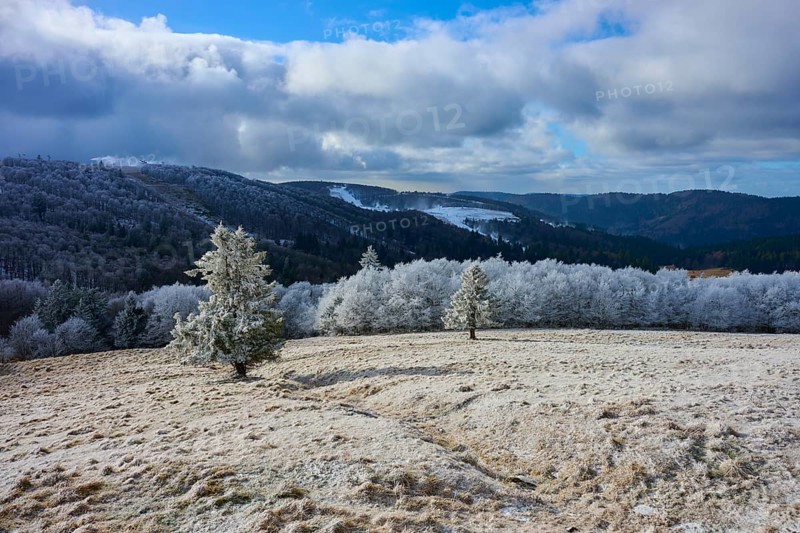 Winter landscape with snow-covered trees and mountains under blue sky, winter, Route de Cretes, Hohneck, La Bresse, Vosges, France