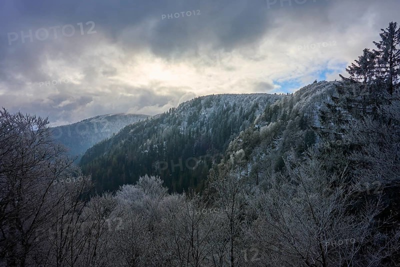 Winter panorama of a frost-covered hill under a cloudy sky, winter, Col de la Schlucht, Le Valtin, Vosges, France