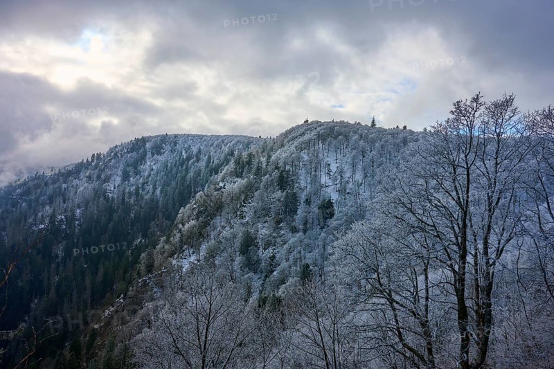 Frost-covered forest hills under partly cloudy winter sky, winter, Col de la Schlucht, Le Valtin, Vosges, France