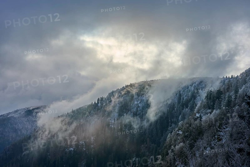 Snowy hills in fog and frosty forest under overcast sky, winter, Col de la Schlucht, Le Valtin, Vosges, France