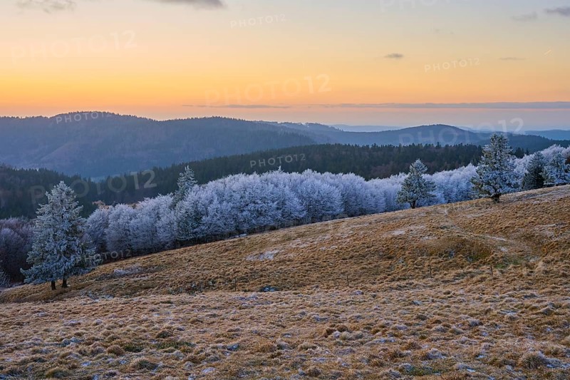 Frozen trees and snow-covered hills under an orange evening sky, winter, Route de Cretes, Hohneck, La Bresse, Vosges, France