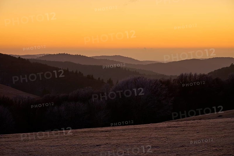 Rolling hills in evening light, silhouettes of trees standing out against the orange sky, winter, Route de Cretes, Hohneck, La Bresse, Vosges, France