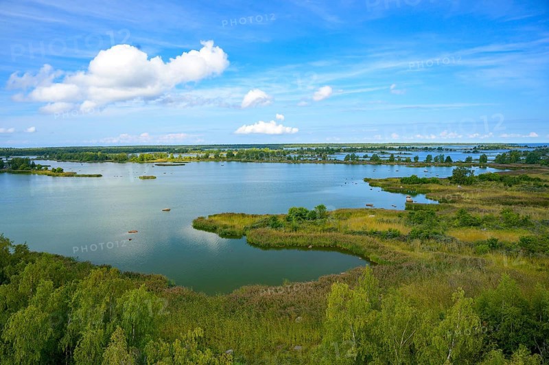 View of a green lagoon in the Gulf of Bothnia from the Saltkaret Norra Vallgrund observation tower with clear sky and scattered clouds, Svedjehamn, Kvarken Archipelago, Finland