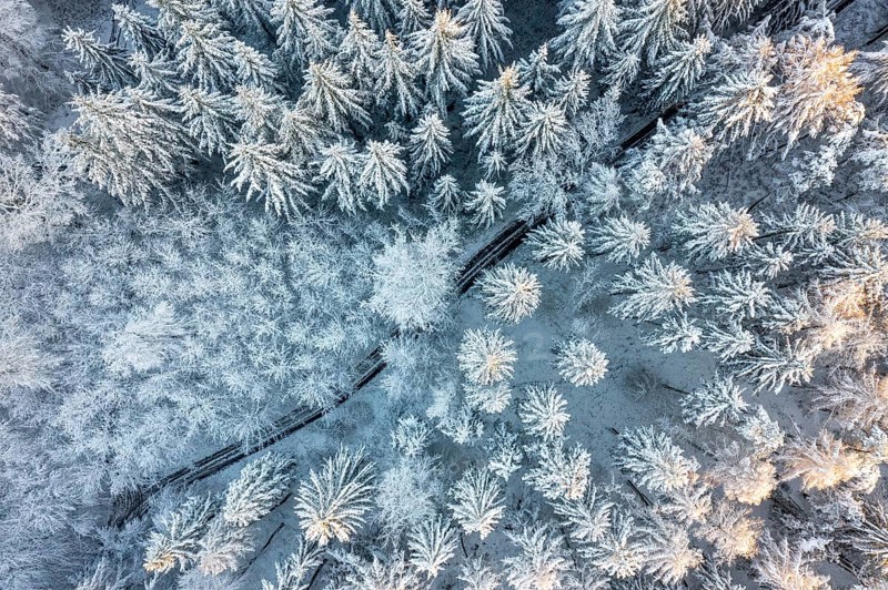 Hankenberge, Hilter am Teutoburger Wald, Lower Saxony, Germany, bird's-eye view of snowy forest, trees covered with frosty snow, aerial view, drone shot