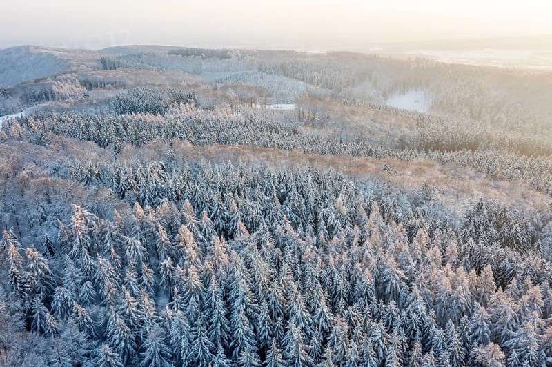 Hankenberge, Hilter am Teutoburger Wald, Lower Saxony, Germany, snowy forest at sunrise, a quiet and peaceful winter landscape, aerial view, drone shot
