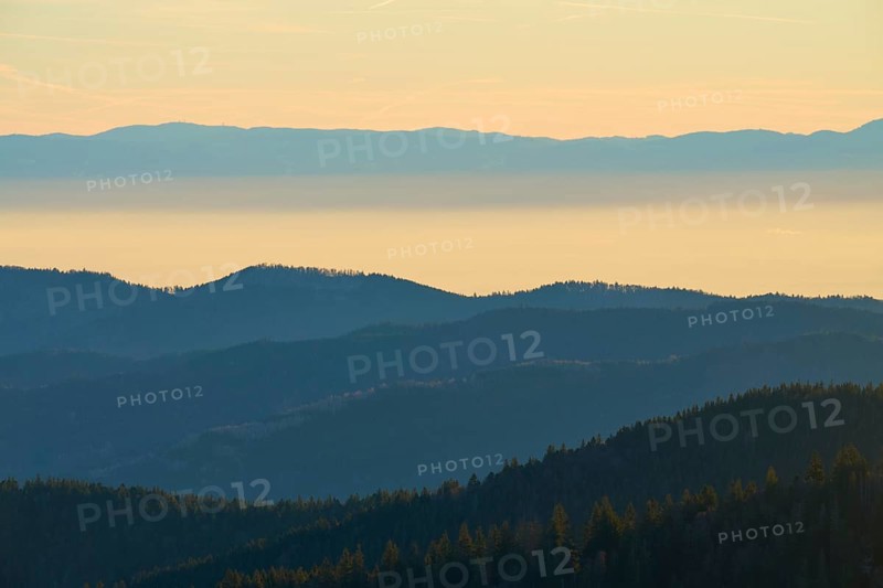 Different altitudes of the mountains in soft morning light, looking towards the Rhine Valley, Hohneck, La Bresse, Vosges, France