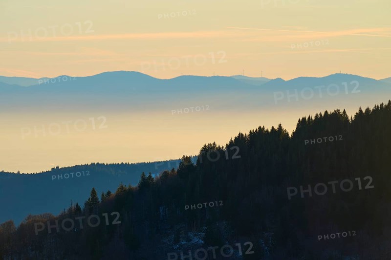 Wooded mountain slopes in morning fog with harmonious colors, view of the Rhine Valley, Hohneck, La Bresse, Vosges, France