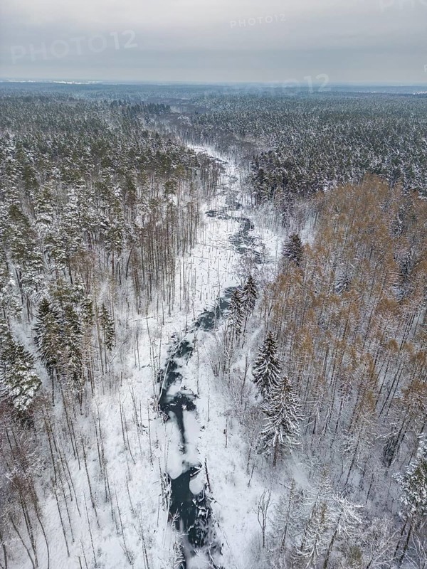 Aerial view, drone photo: Landscape covered by snow with fallen trees on the Briese river in the forest, landscape dammed by beavers, Briesetal, Barnim nature park Park, Brandenburg, Germany
