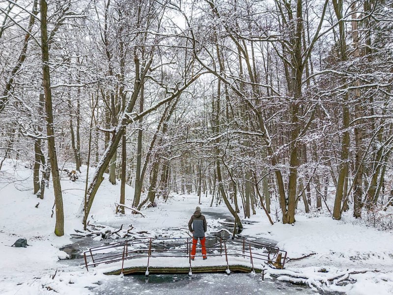 Aerial view, drone photo: Man hiking standing on a bridge over the Briese river in the forest in winter, landscape dammed by beavers, Briesetal, Barnim nature park Park, Brandenburg, Germany