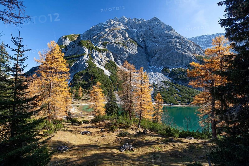 Seebensee in autumn, Tajakopf, Alps, Tyrol, Austria