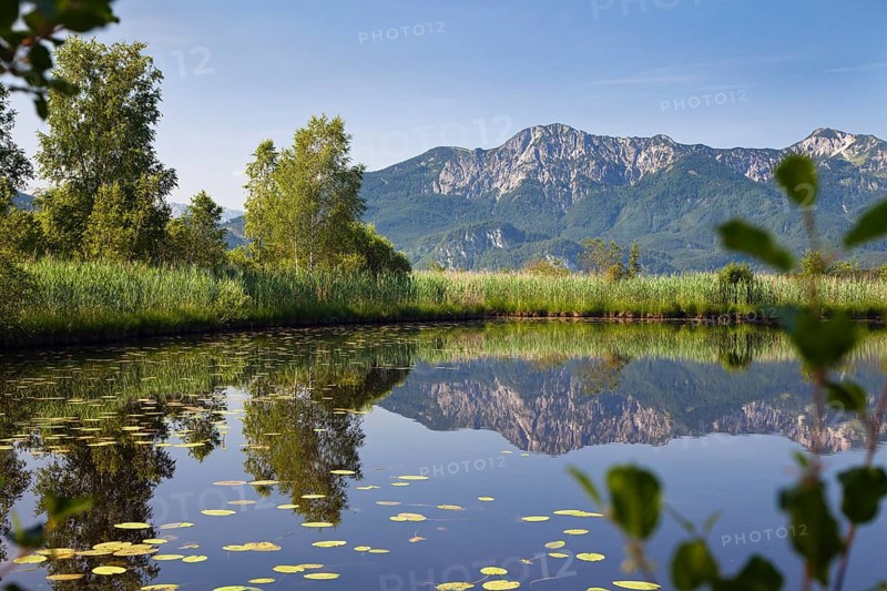 Höllsee with Herzogstand and Heimgarten, moor, pond, Loisach Lake Kochel moss, Upper Bavaria, Germany