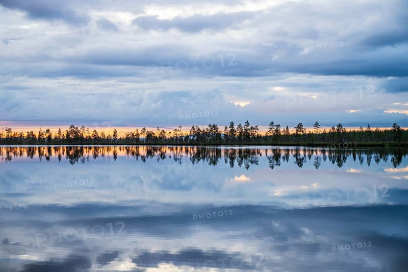 Calm lake reflecting clouds and trees in evening light, near Rovaniemi, Lapplamnd, Finnmark