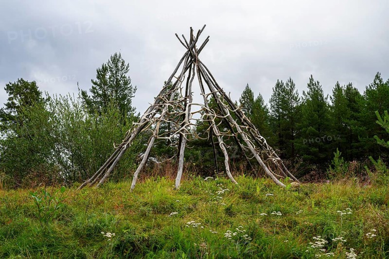 Rustic wooden structure made from birch trunks and reindeer antlers in a natural setting with trees and meadow in the background, Varangerbotn, Finnmark, Norway
