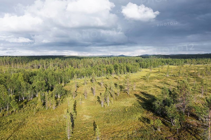 Sodankylä, Lapland, Finland, cloud-covered sky over a vast forest and meadow landscape with light and shadow effects, aerial photo, drone shot