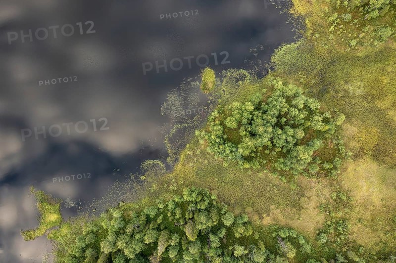 Sodankylä, Lapland, Finland, aerial view of dense vegetation and calm water with cloud shadows, aerial view, drone shot