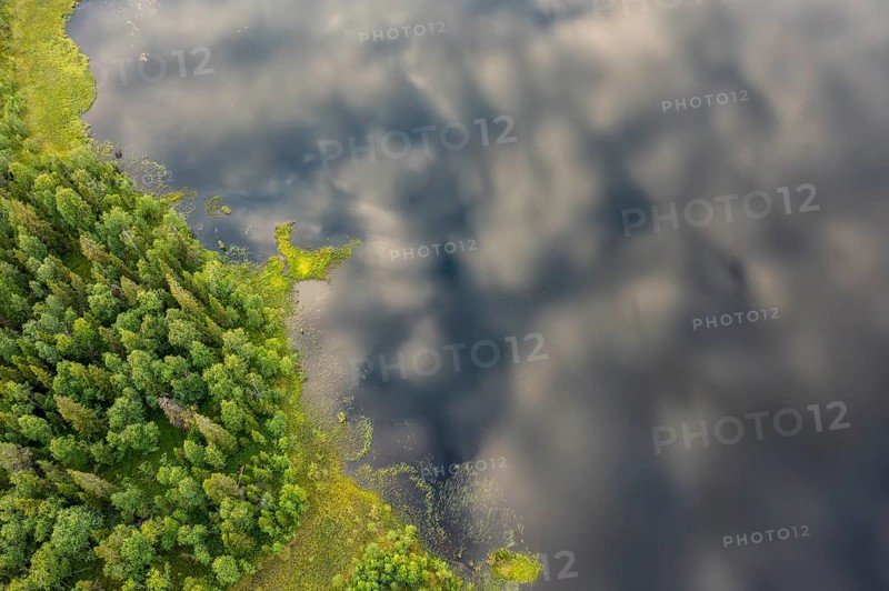 Sodankylä, Lapland, Finland, view from above of shore with trees bordering a cloudy lake, aerial view, drone shot