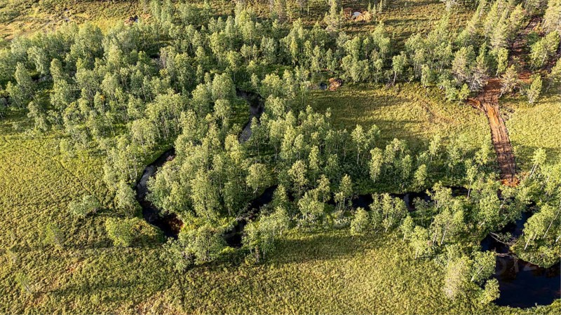 Sodankylä, Lapland, Finland, overview of a curving river surrounded by thick trees, aerial view, drone view