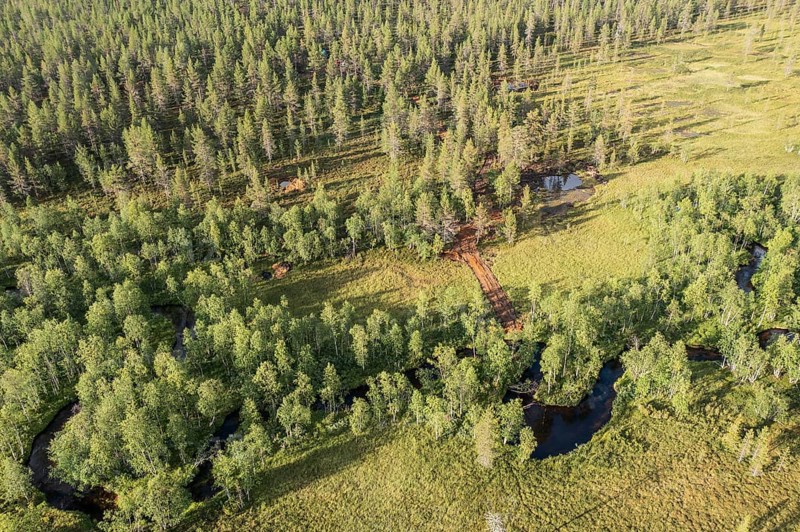 Sodankylä, Lapland, Finland, view from above of a forest with a river and meadows, characterized by thick greenery, aerial view, drone shot